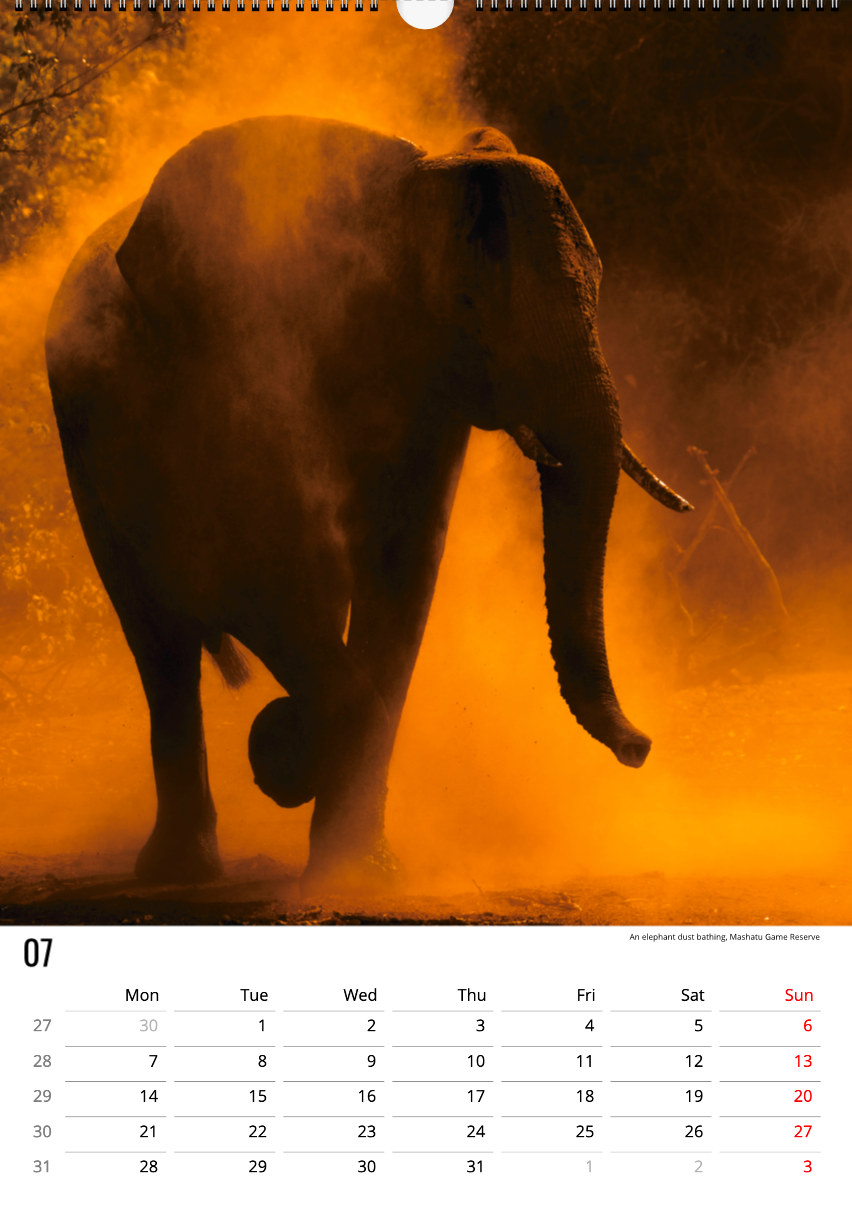 Safari Calendar 2025 (A3)