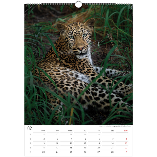 211e2b05-23ec-4089-bee3-72d14c33c4b0