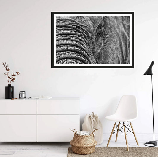 A closeup photograph of an African elephant’s eye and texture of its skin in black and white hanging on a white wall above a chair and a commode.