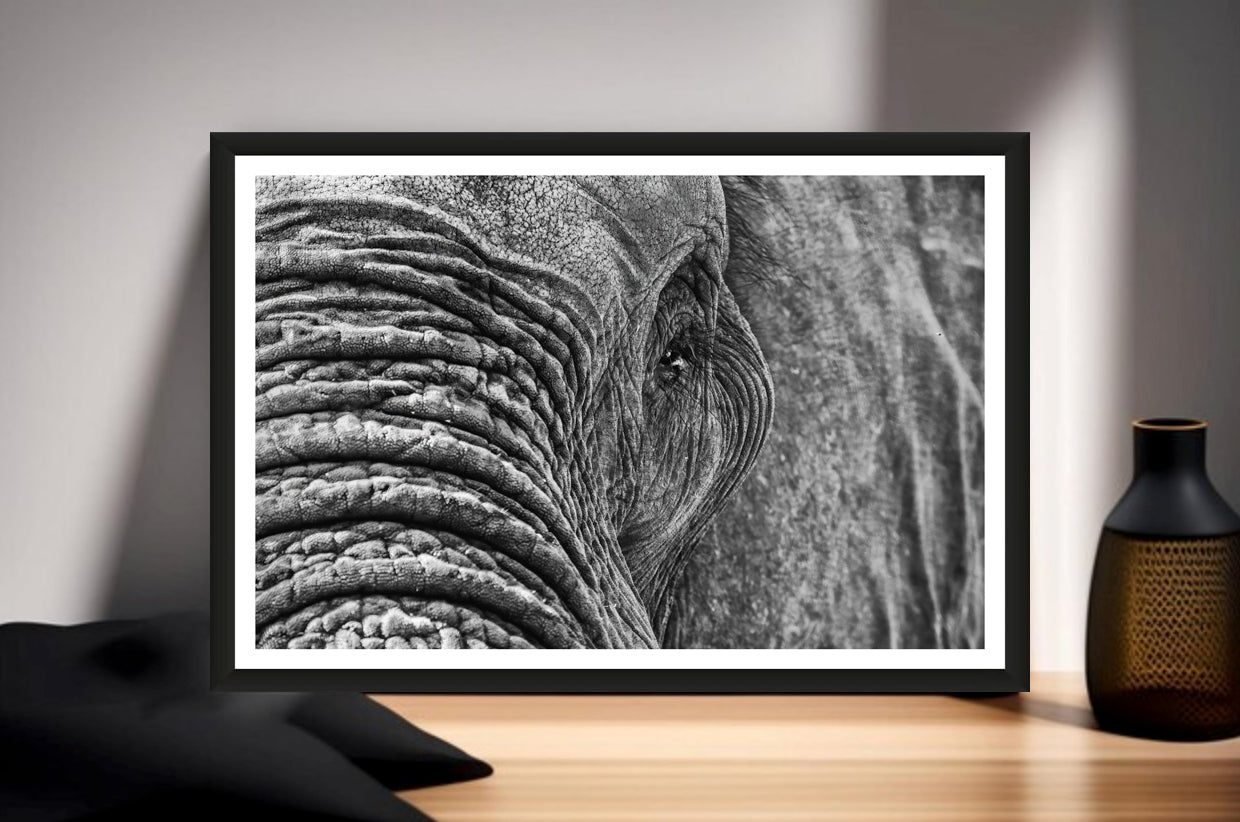 A closeup photograph of an African elephant’s eye and texture of its skin in black and white standing on a sideboard next to a vase.