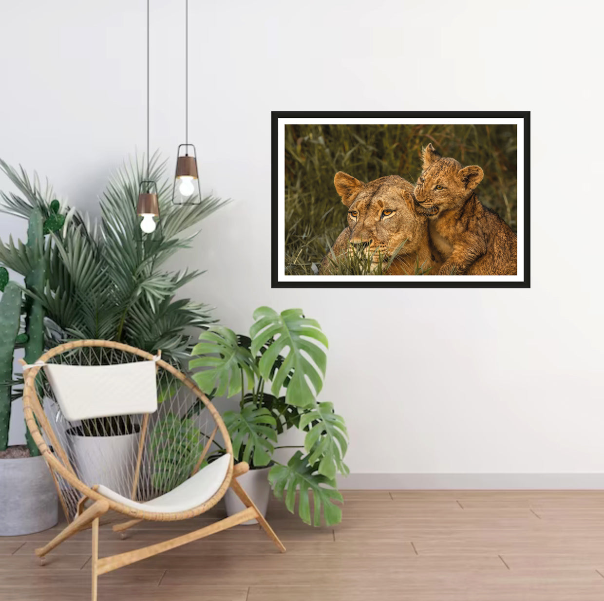 A photograph of a cute lion cub biting into his mother’s ear hanging on a white wall in a room with a chair and plants next to it.