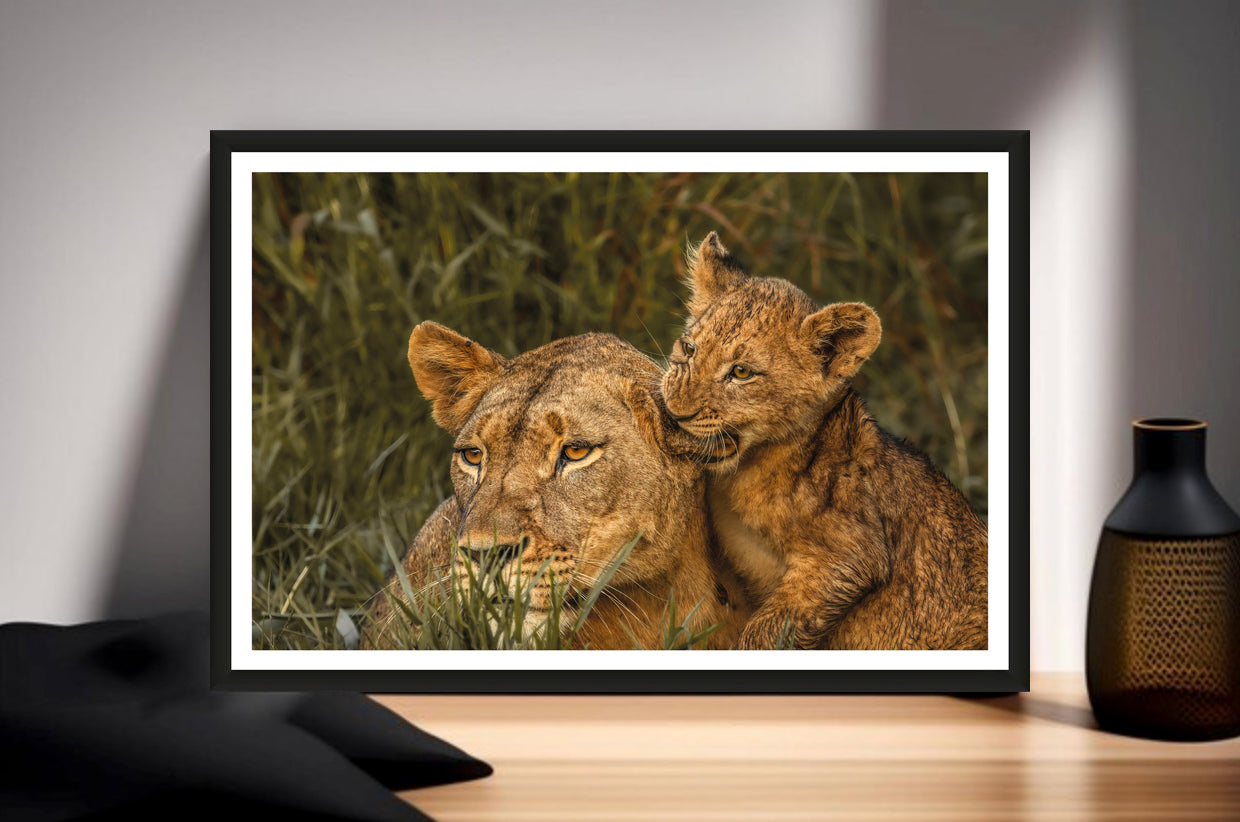 A photograph of a cute lion cub biting into his mother’s ear standing on a sideboard next to a vase.