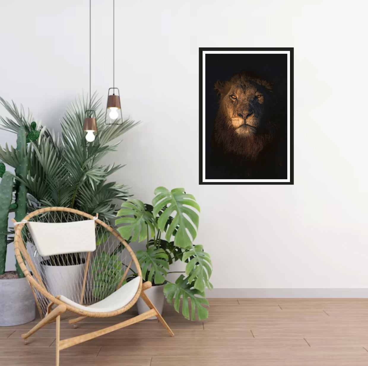The photograph of a big male lion with piercing eye contact hanging on a white wall with a chair and plants standing in the corner.