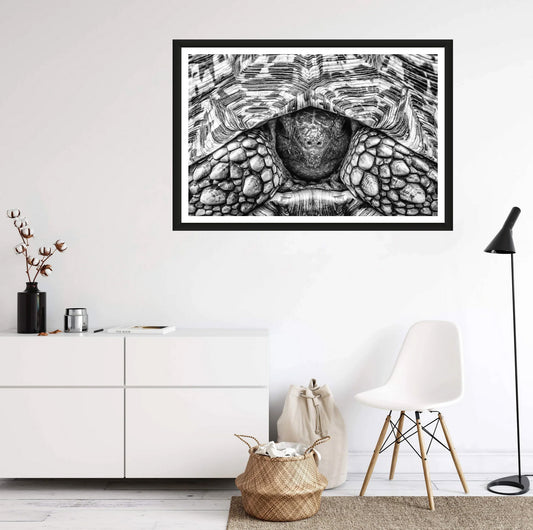A closeup photograph of a leopard tortoise peeping out its shell black and white hanging on a white wall above a chair and a commode.