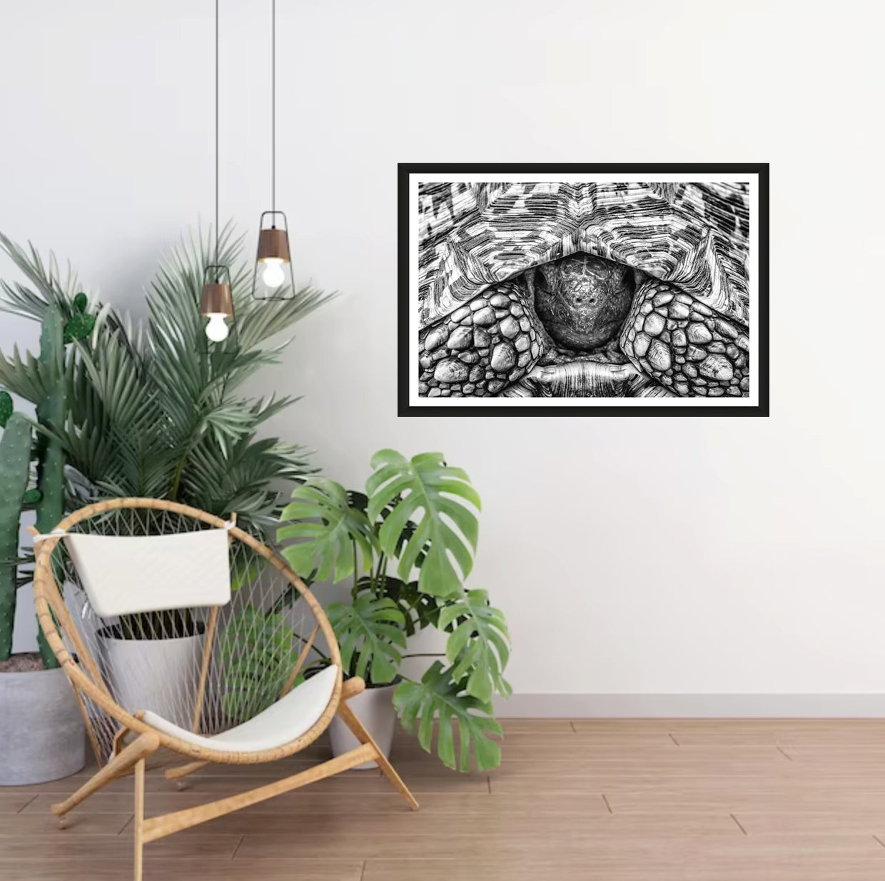A closeup photograph of a leopard tortoise peeping out its shell black and white hanging on a white wall in a room with a chair and plants next to it.
