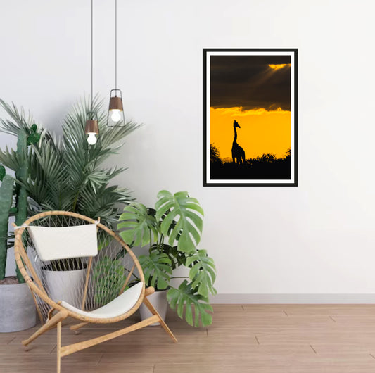 A photograph of a giraffe silhouette standing under a stormy orange sky during sunset hanging on a white wall in a room with a chair and plants next to it.