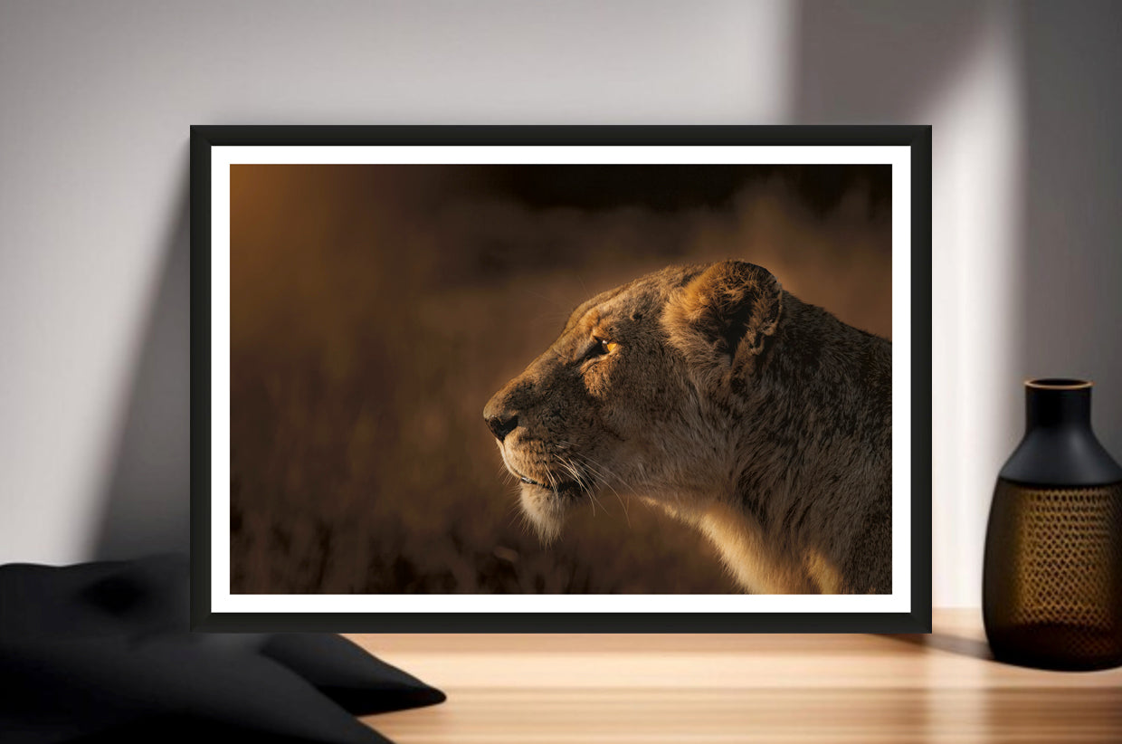 A photograph of a lioness’ face staring into the distance in golden morning light standing on a sideboard next to a vase.