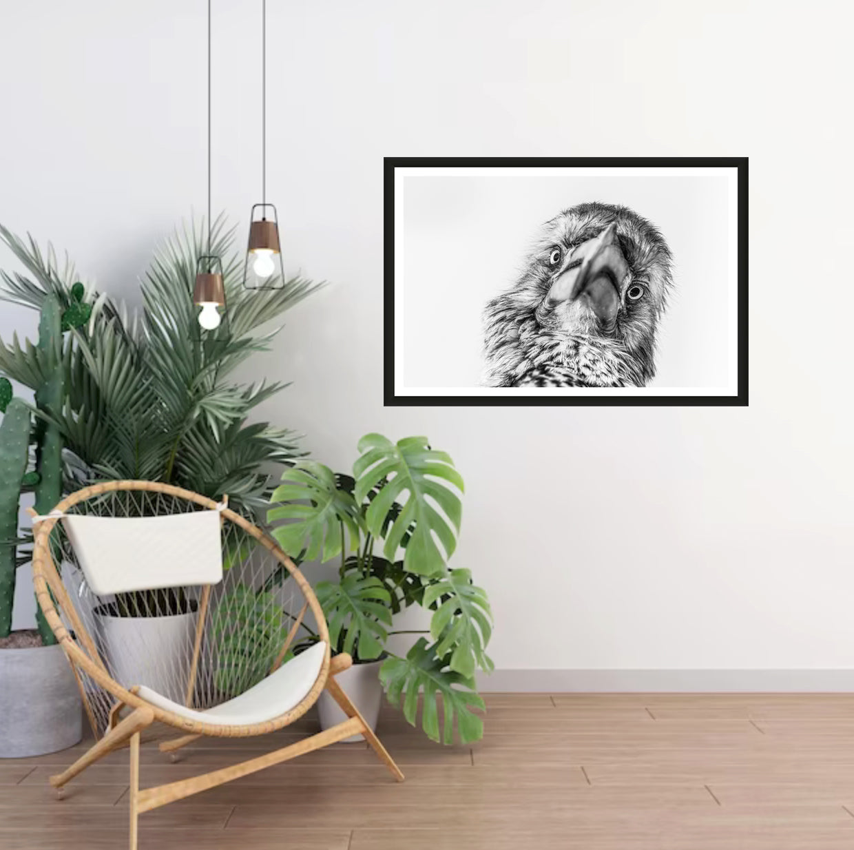 A photograph of a hornbill’s face looking straight into the camera hanging on a white wall in a room with a chair and plants next to it.