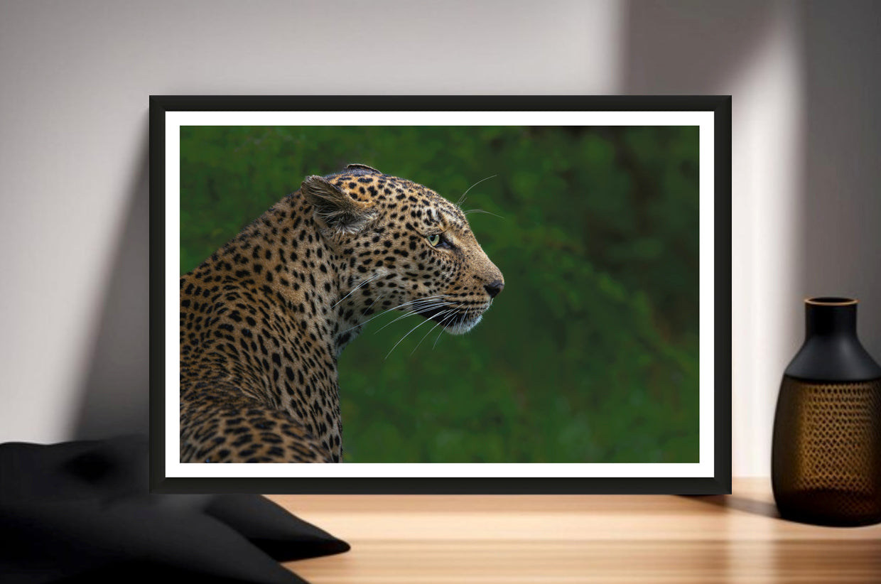 A closeup photograph of a leopard with blurred green background standing on a sideboard next to a vase.