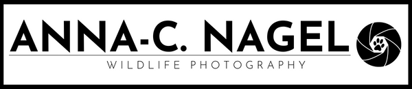 Anna-C. Nagel Photography