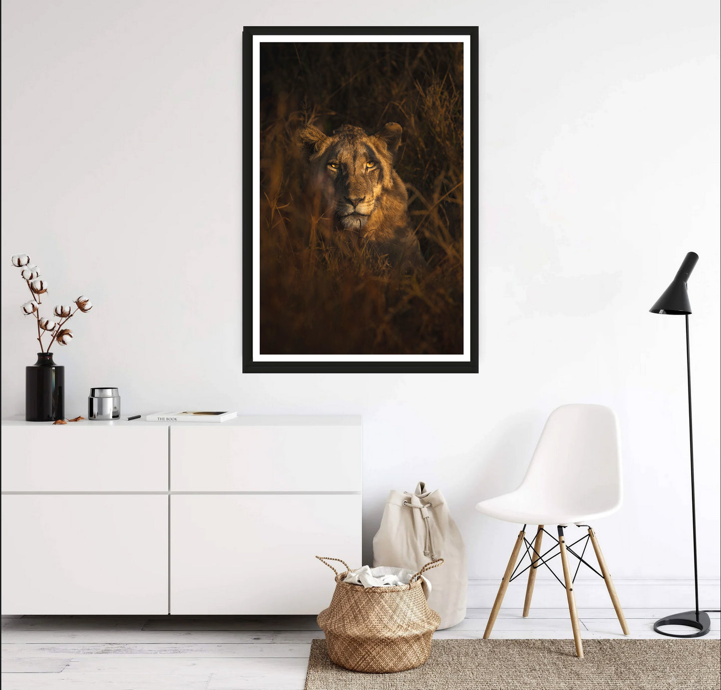 The photograph of a young lion lurking in the dry grass in the golden light while looking directly into the camera hanging on a white wall above a sideboard with a chair next to it.