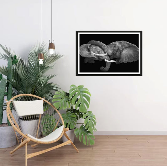 Photograph of one elephant having his trunk on the head of another elephant hanging on a white wall in a room with a chair and plants next to it.