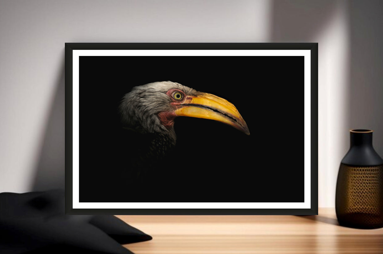 A photograph of a yellow bill of a Southern Yellow-billed Hornbill and its face appearing from the dark standing on a sideboard next to a vase.