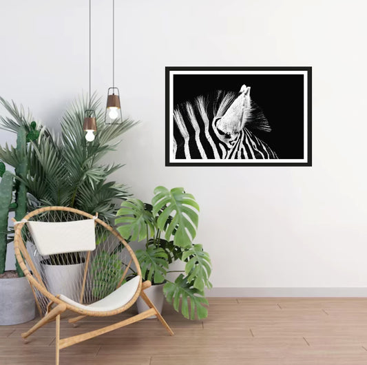 A closeup photograph of a zebras ears and mane with black background hanging on a white wall in a room with a chair and plants next to it.