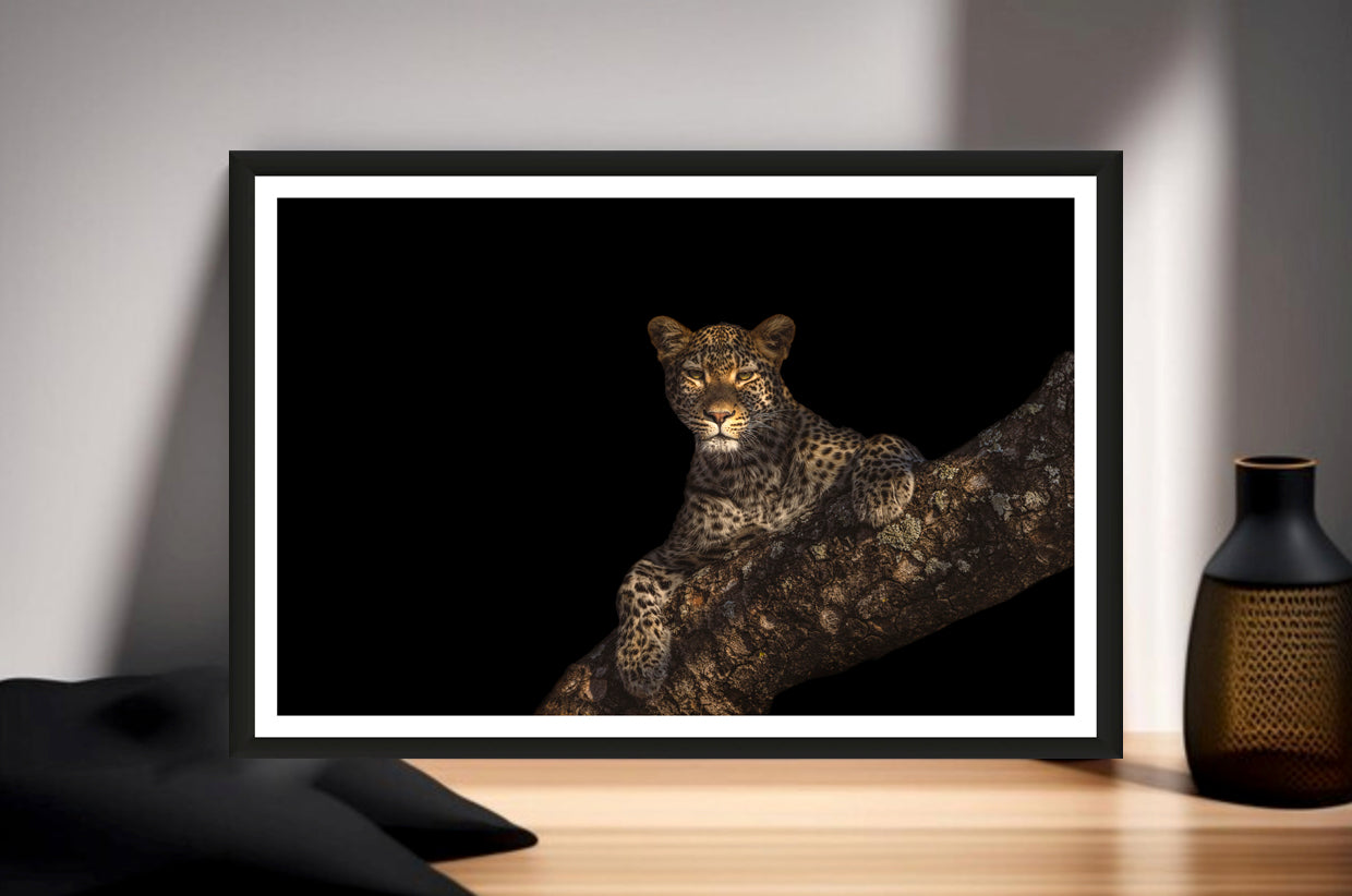 A photograph of a beautiful female leopard hanging over a huge Marula branch staring into the camera standing on a sideboard next to a vase.