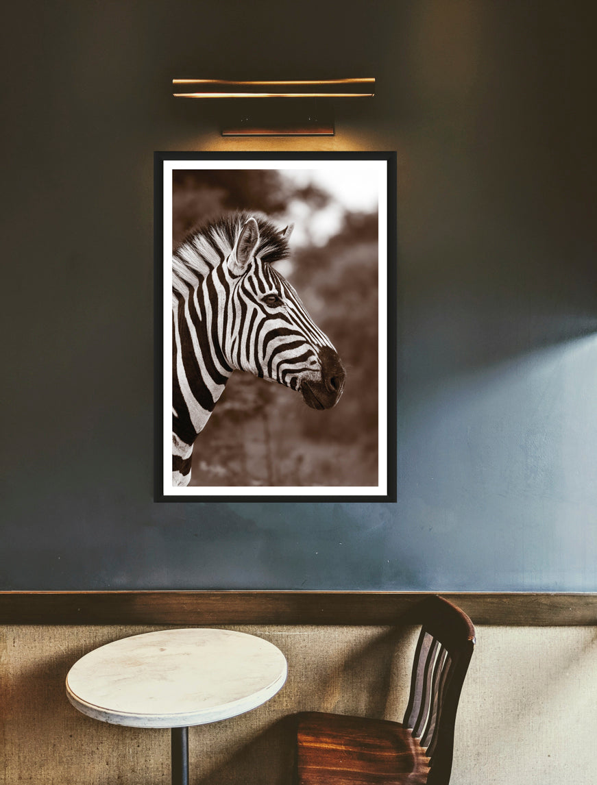 A photograph of a zebra's head in sepia colors with a blurred background hanging on a greyish wall above a small table and a chair.