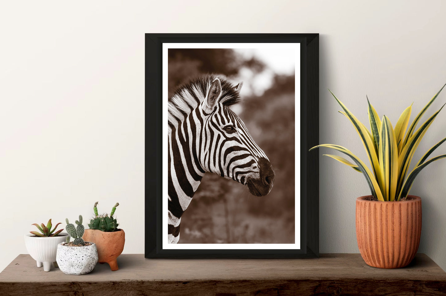 A photograph of a zebra's head in sepia colors with a blurred background standing on a shelf with plants next other to it.
