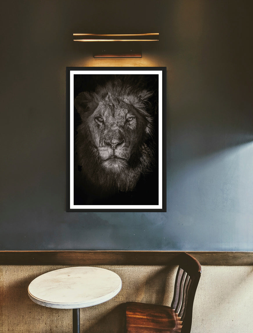 A closeup photograph of a male lions' face in black and white hanging on a greyish wall above a chair and a commode..