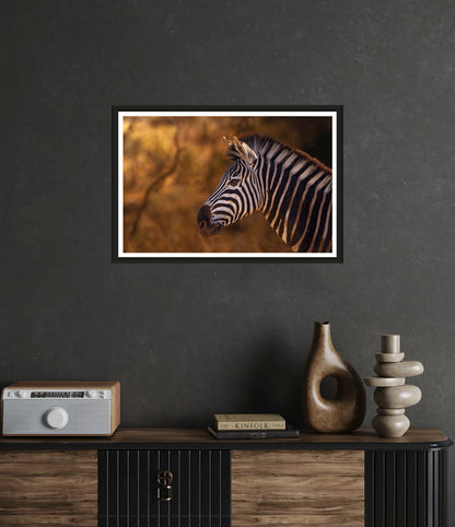 Golden Stripes