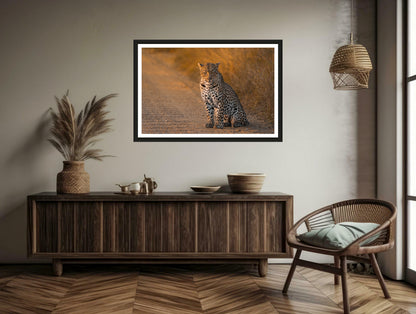 The photograph of a female leopard sitting in the dirt road in Kruger National Park in the golden morning light, hanging on a brown wall above a commode with a chair. 