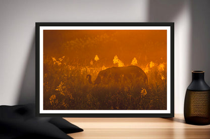 A photograph showing an elephant's silhouette standing in the reeds with an orange sky during sunset standing on a sideboard next to a vase.