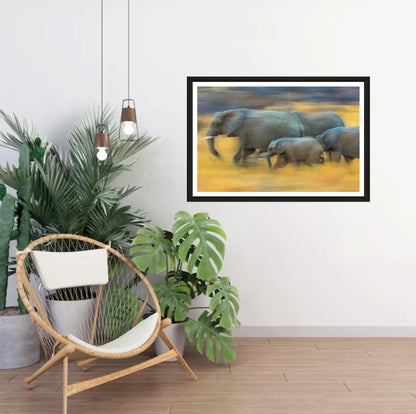 A motion blur photograph of a herd of African elephants marching through the dry yellow landscape hanging on a white wall next to a shelf with plants. 