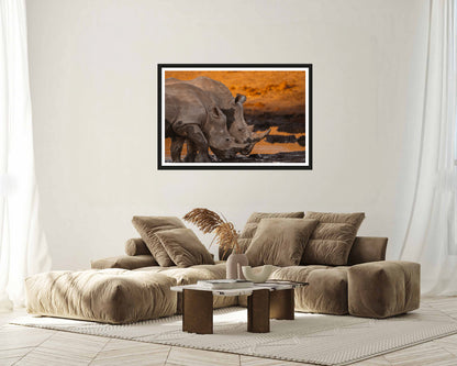 Rhino Sunset