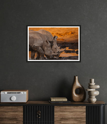 Rhino Sunset