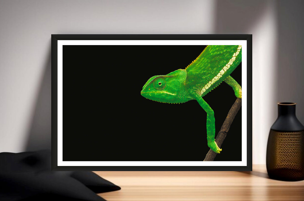 A photograph of a green chameleon walking into the frame standing on a sideboard next to a vase.
