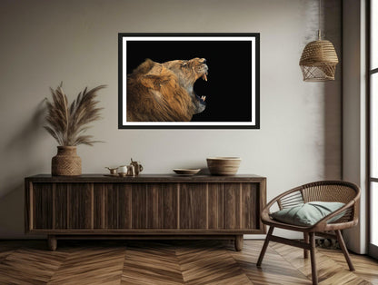 A photograph of a male lion yawning showing his teeth hanging on a brown wall above a chair and a commode.