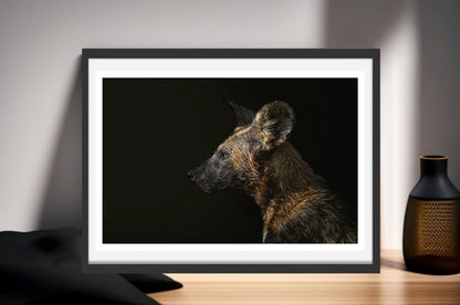 A photograph of a wild dog's face and neck with a wet coat standing on a sideboard next to a vase.