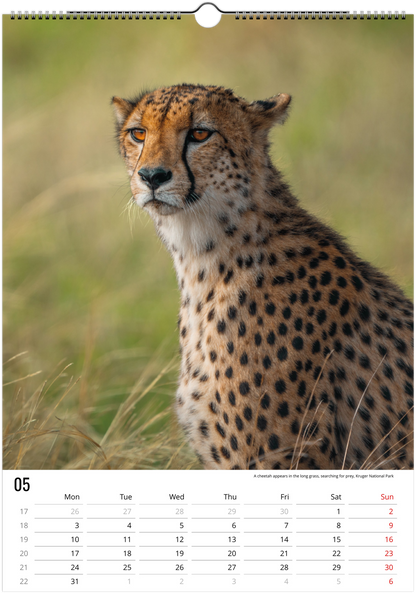 Safari Calendar 2027 (A3)